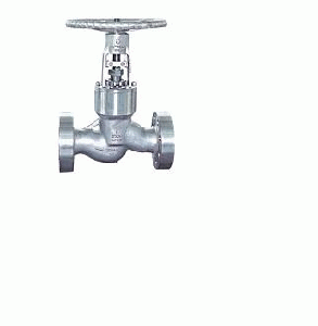  BS 1873 Globe Valve