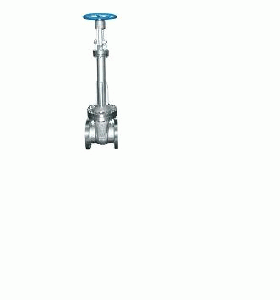 Bellow Gate Valve